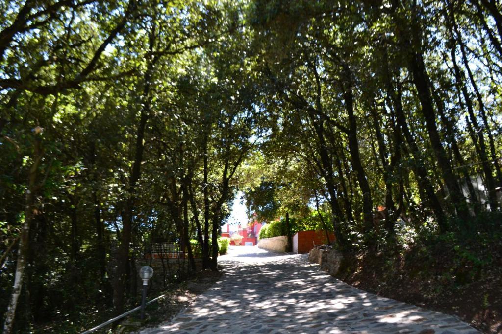 פרוג'ה B&B Spring מראה חיצוני תמונה