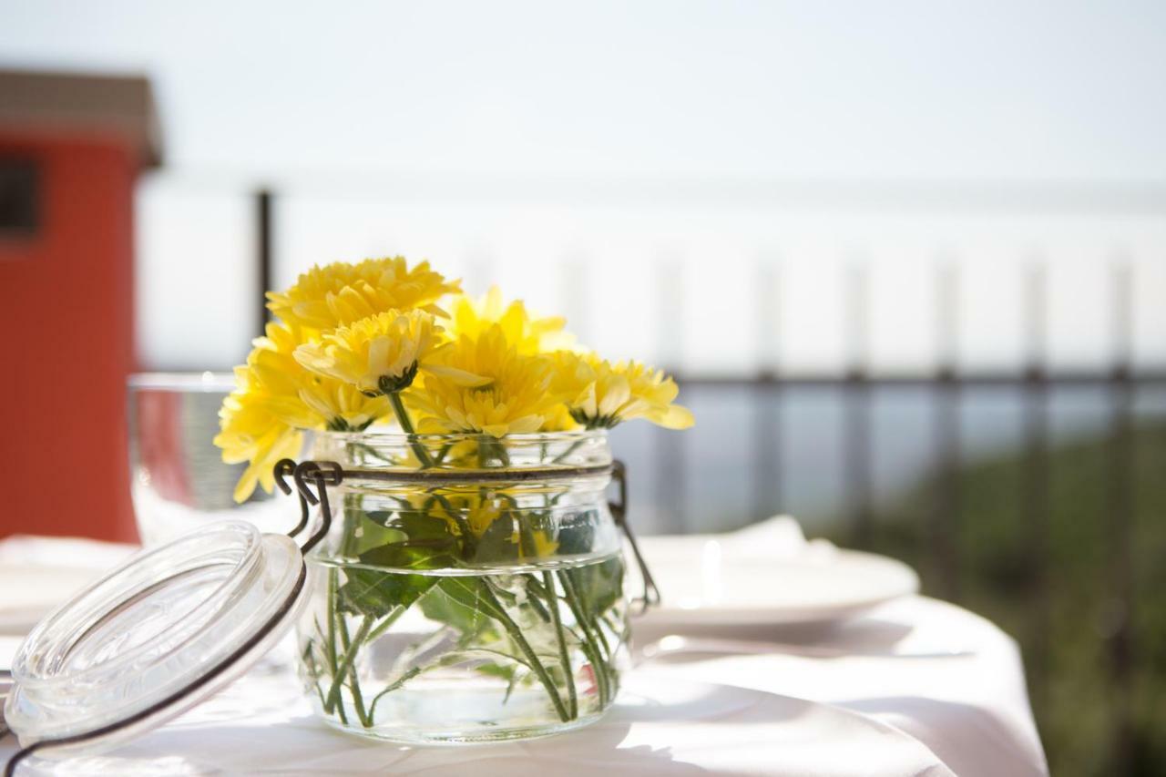 פרוג'ה B&B Spring מראה חיצוני תמונה